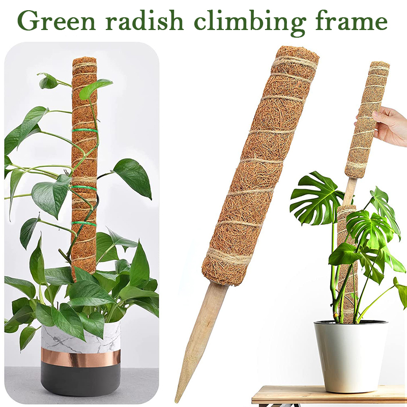 Sphagnum Moss Dry - Tiang Totem Sabut Kelapa 30/40/50cm untuk