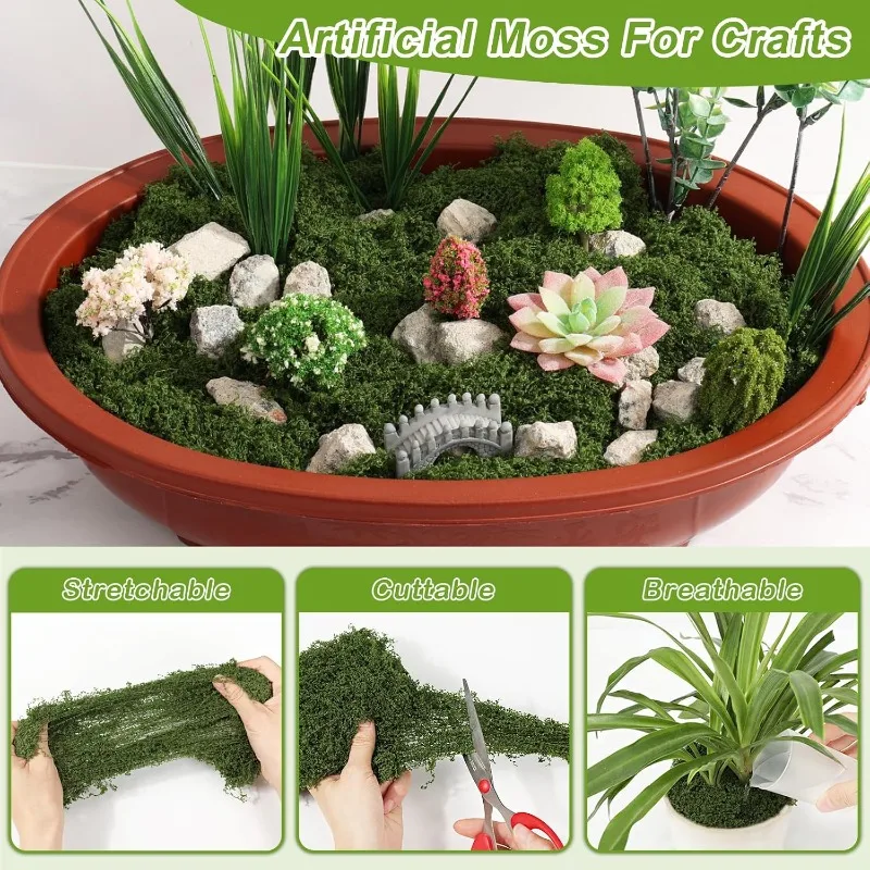 Rumput Lumut Hidup Abadi, Rump - Sphagnum Moss Dry ulasan dan harga