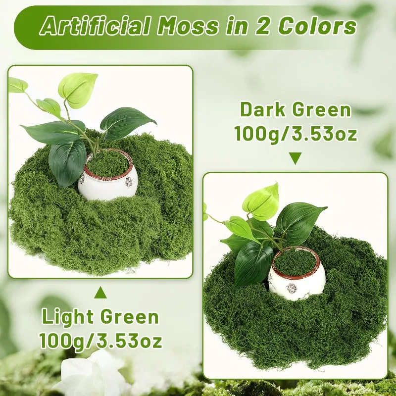 Rumput Lumut Hidup Abadi, Rump - Sphagnum Moss Dry ulasan dan harga