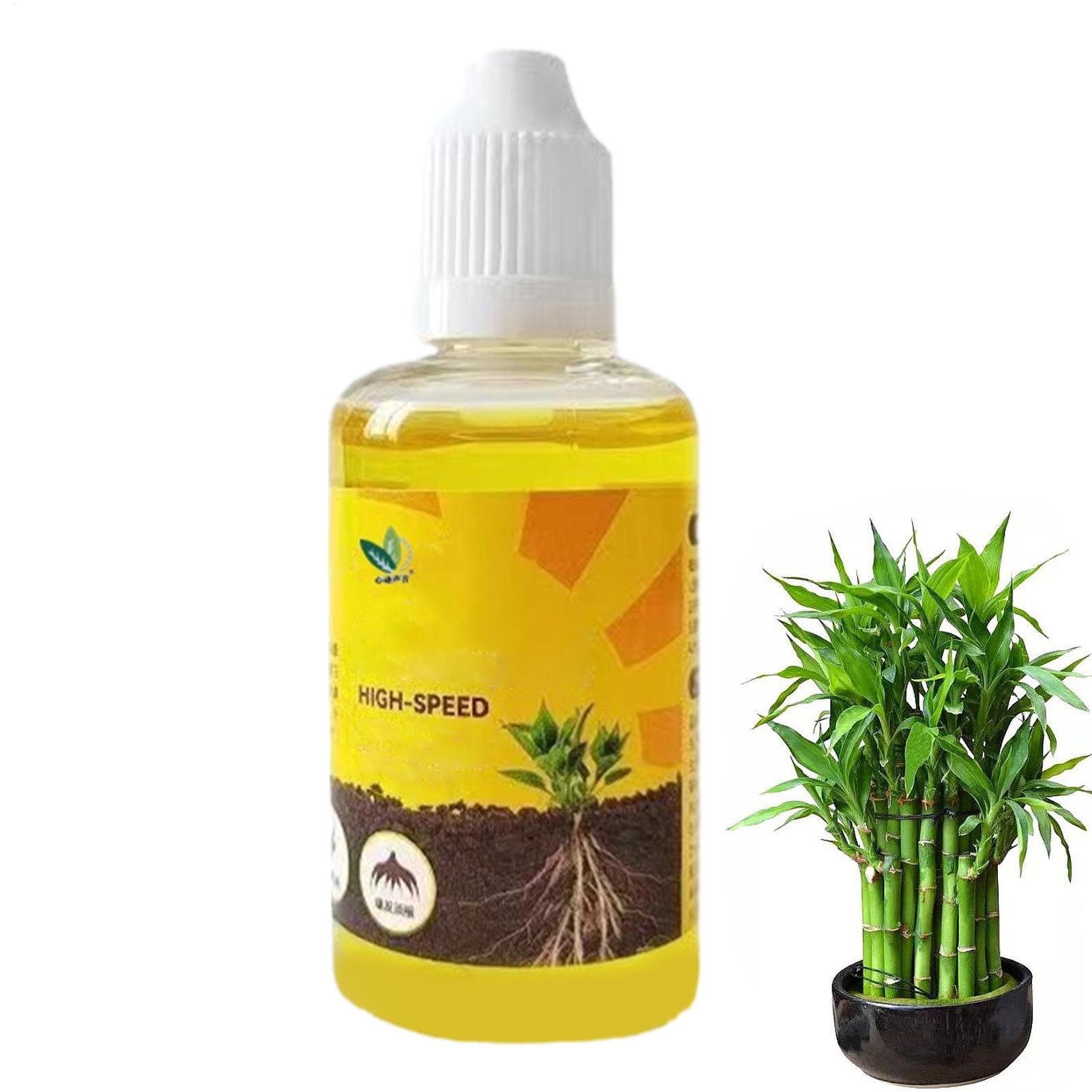 Cairan Pemicu Pertumbuhan Akar - Root Stimulator Liquid ulasan dan harga