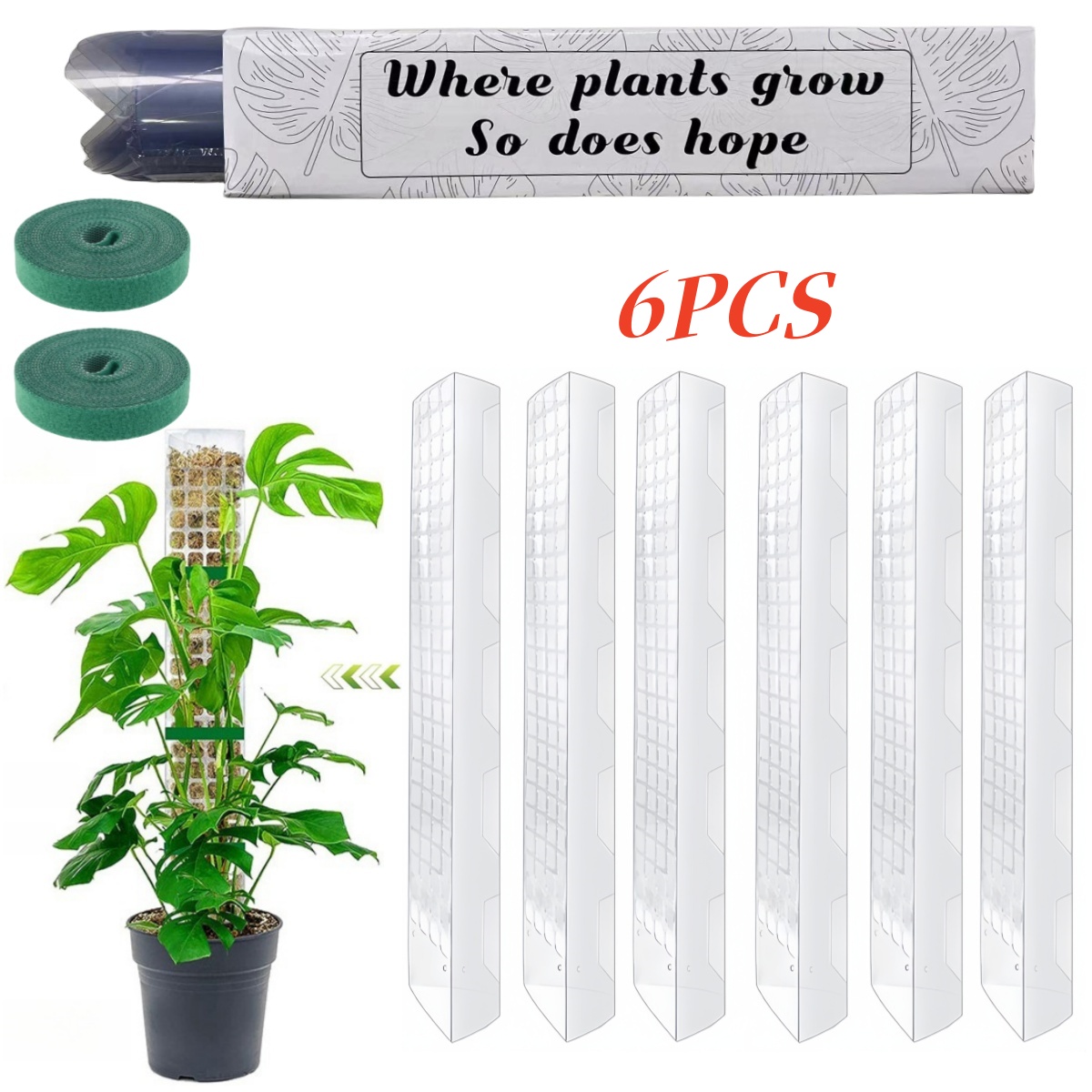Penyangga Tanaman Plastik Moss - Sphagnum Moss Dry ulasan dan harga