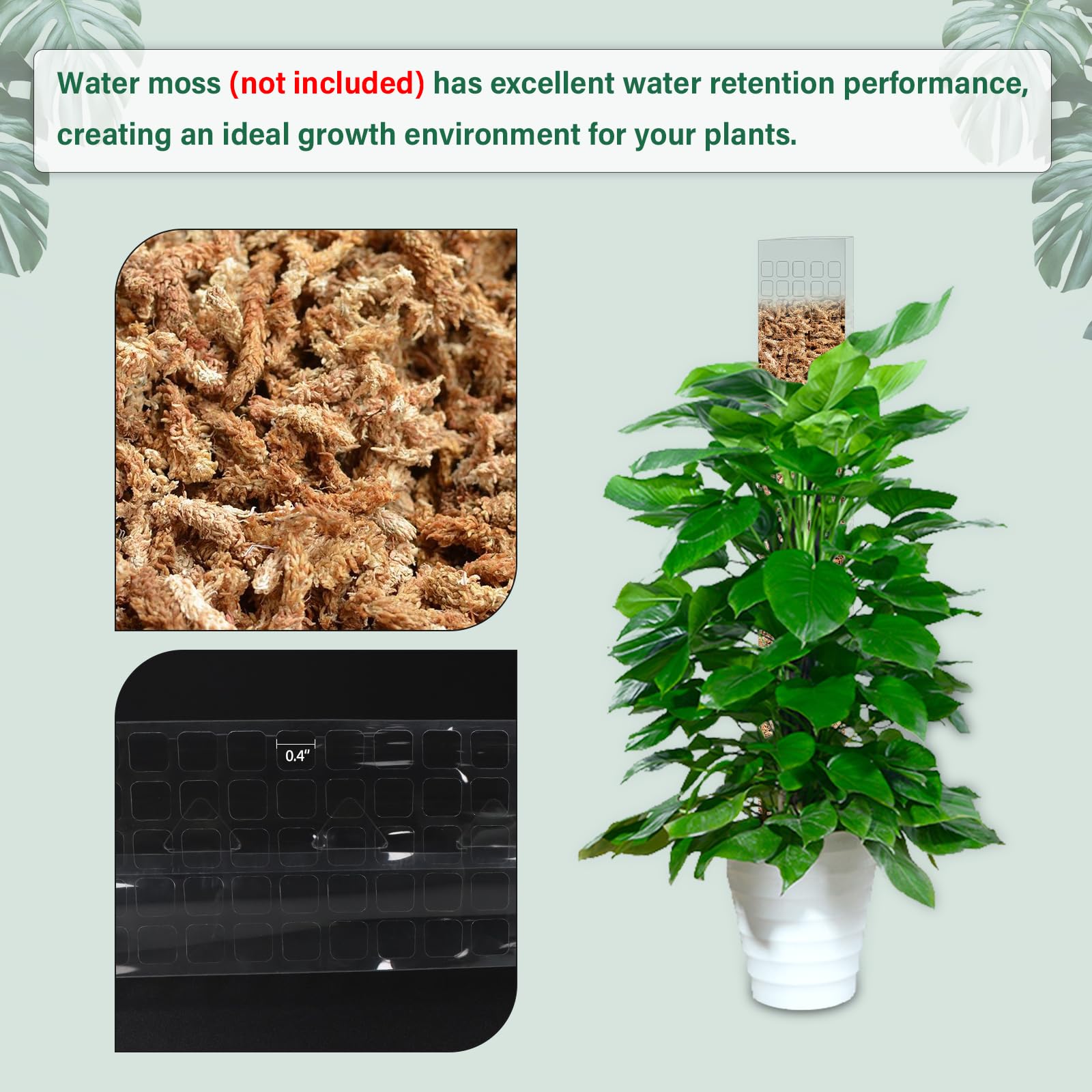 Penyangga Tanaman Plastik Moss - Sphagnum Moss Dry ulasan dan harga