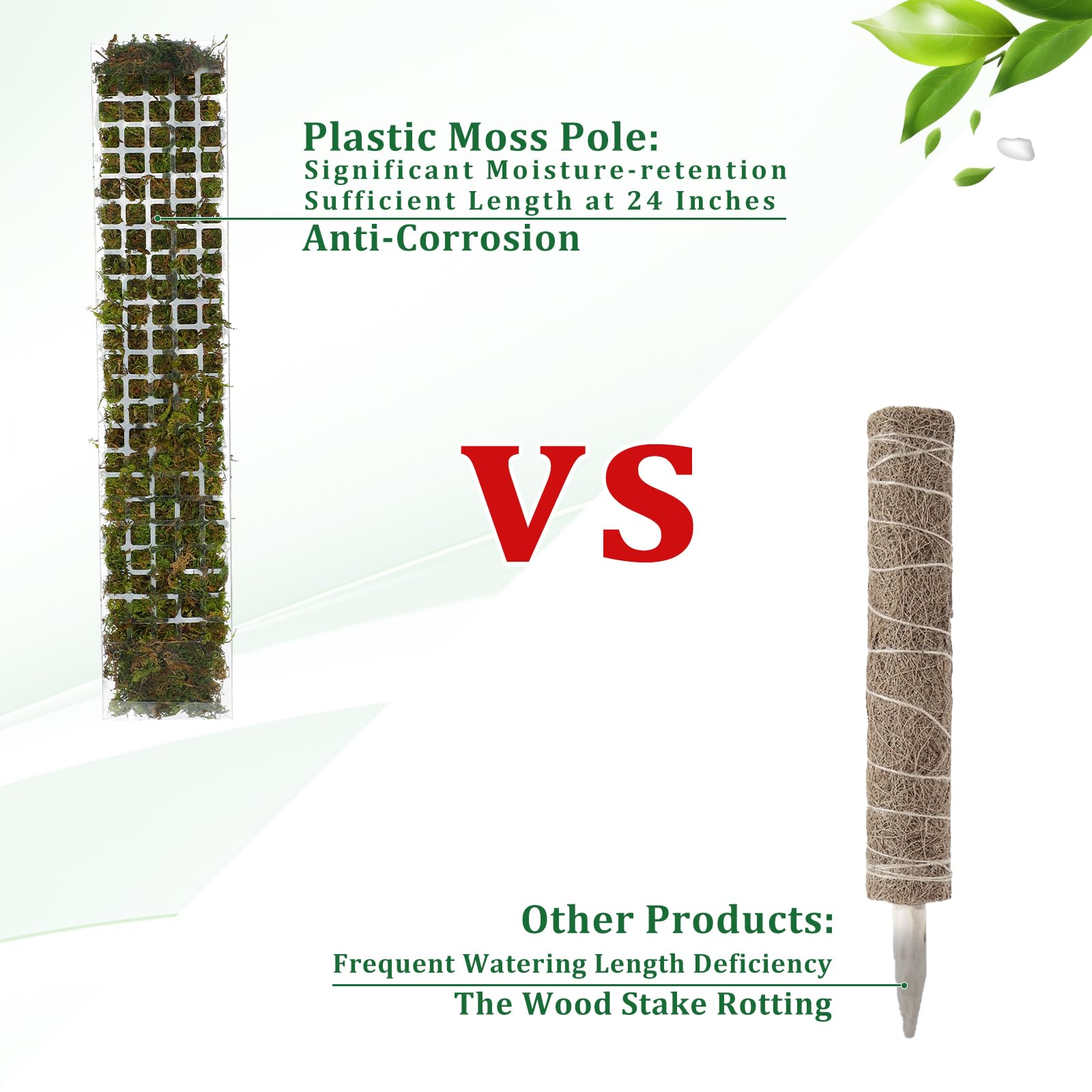 Penyangga Tanaman Plastik Moss - Sphagnum Moss Dry ulasan dan harga