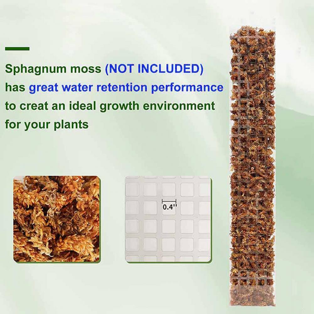 Tiang Lumut untuk Tanaman Mera - Sphagnum Moss Dry ulasan dan harga
