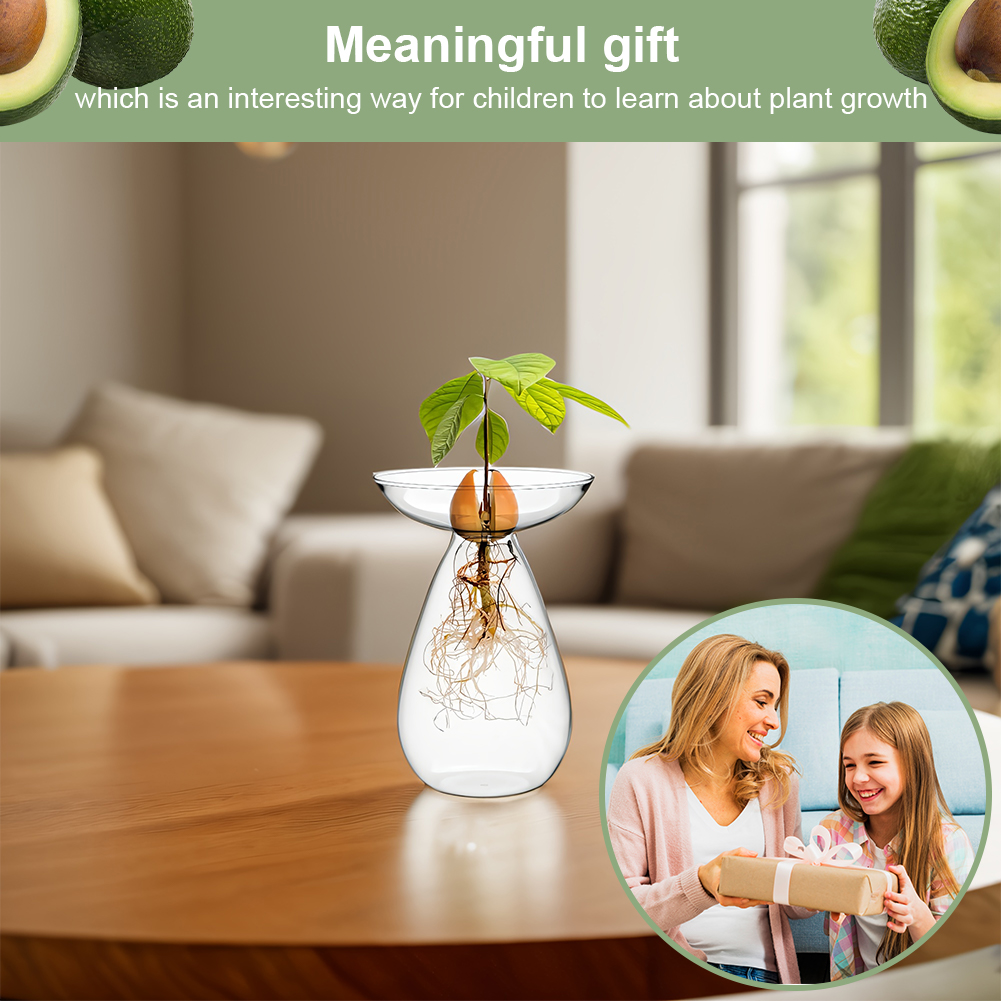 Vas Penyemai Biji Alpukat Tran - Propagation Station Vase ulasan dan harga